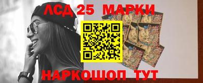 скорость Гатчина